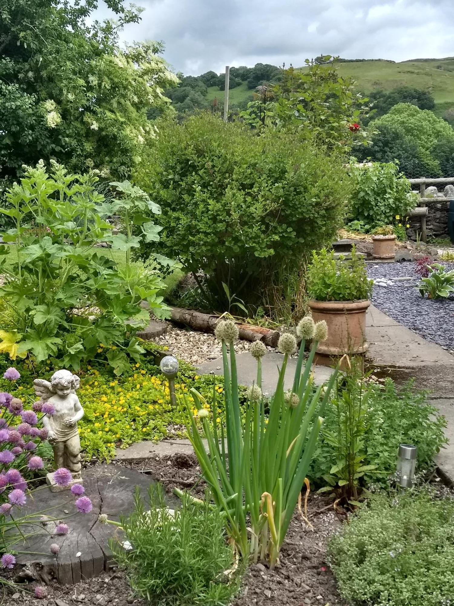Pentre Isaf Bed and Breakfast Conwy Eksteriør billede