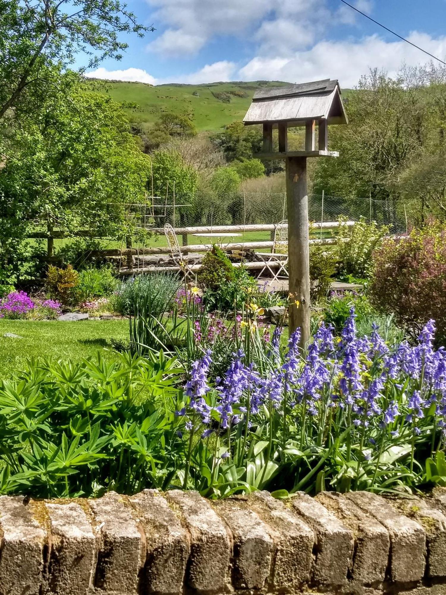 Pentre Isaf Bed and Breakfast Conwy Eksteriør billede